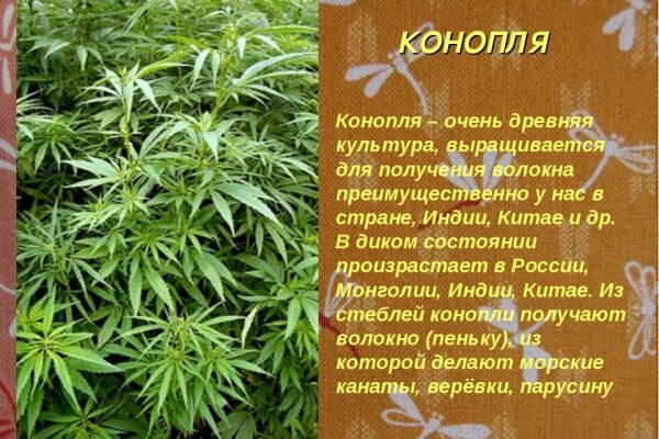 Kra34.cc