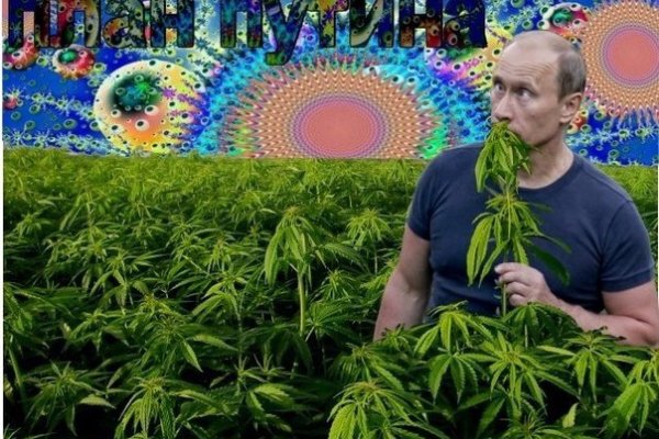 Кракен наркоплейс