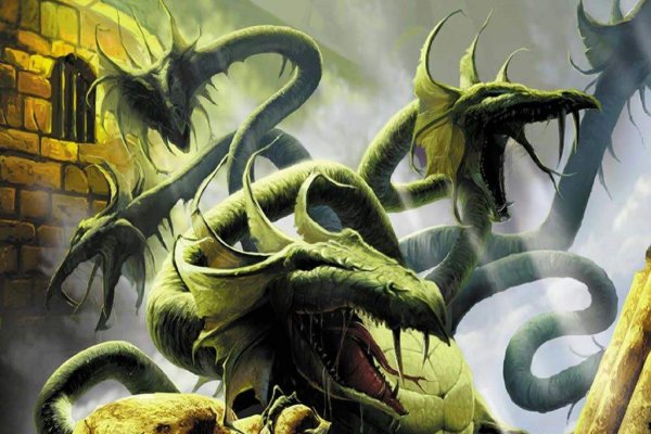 Kraken20 at