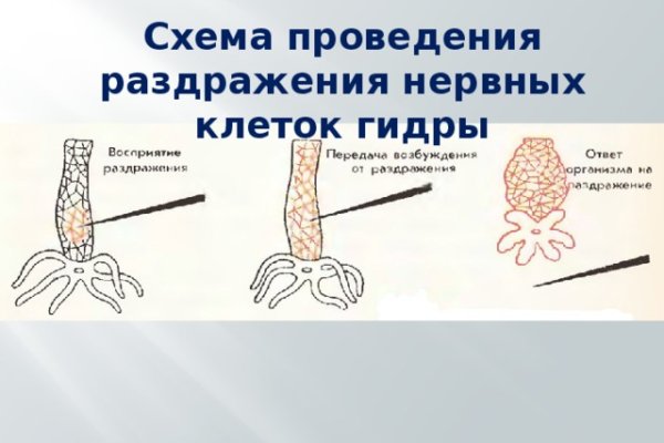 Маркет плейс кракен маркетплейс
