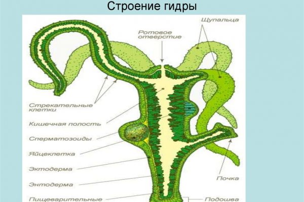 Mega darknet ссылка