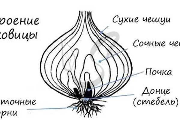 Что такое кракен маркетплейс курительный смесс