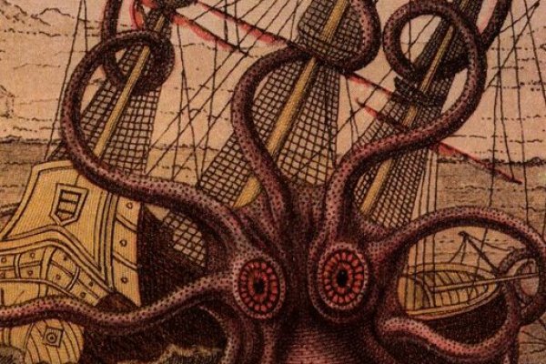 Kraken19 at