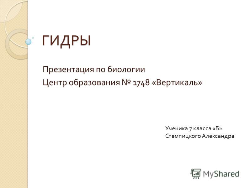 Кракен маркетплейс ассортимент