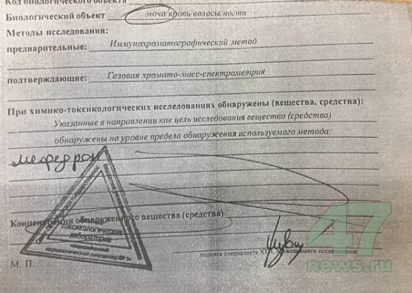 Ссылки на кракен маркетплейс